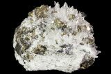 Pyrite, Chalcopyrite, Sphalerite and Quartz Association - Peru #71376-2